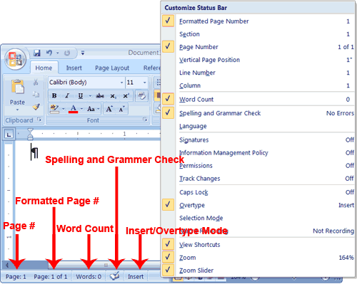 typeover mode in Word 2007 - status bar displaying Insert and Overtype modes