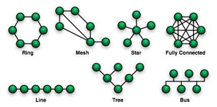Different LAN Typologies Different LAN Typologies