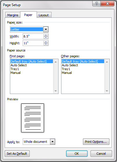 Paper Tab in Page Setup Dialog Box