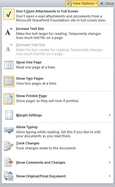 View Options in Full Screen Readiqng View View Options in Full Screen Readiqng View